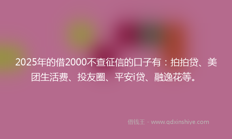 2025年的借2000不查征信的口子有：拍拍贷、美团生活费、投友圈、平安i贷、融逸花等。