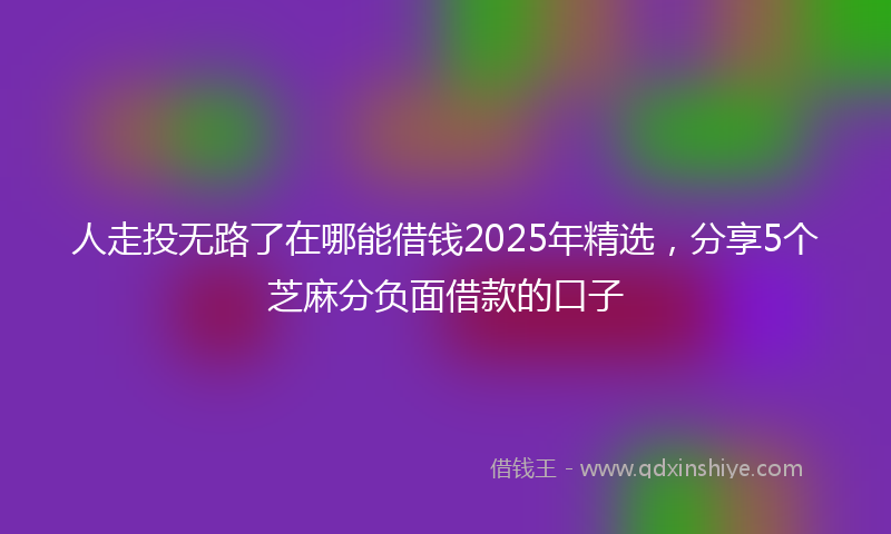人走投无路了在哪能借钱2025年精选，分享5个芝麻分负面借款的口子