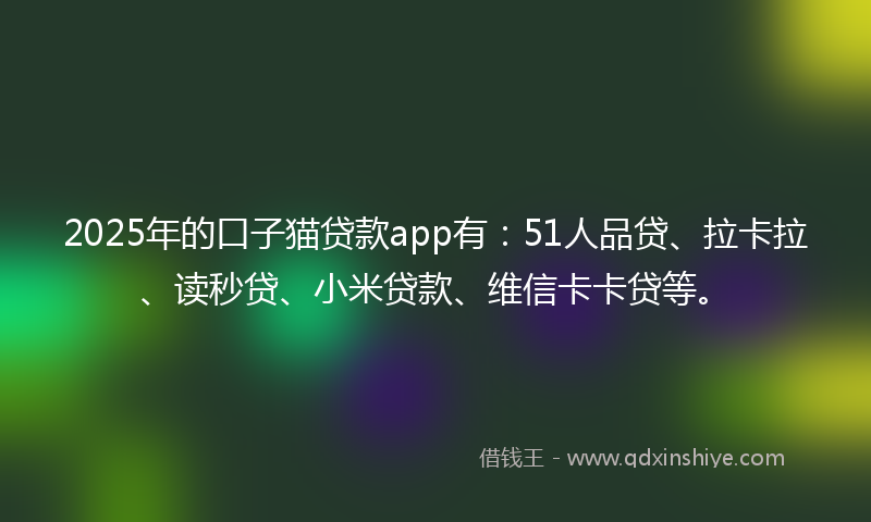2025年的口子猫贷款app有：51人品贷、拉卡拉、读秒贷、小米贷款、维信卡卡贷等。