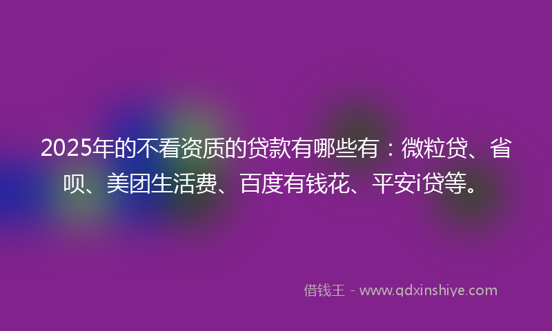 2025年的不看资质的贷款有哪些有：微粒贷、省呗、美团生活费、百度有钱花、平安i贷等。