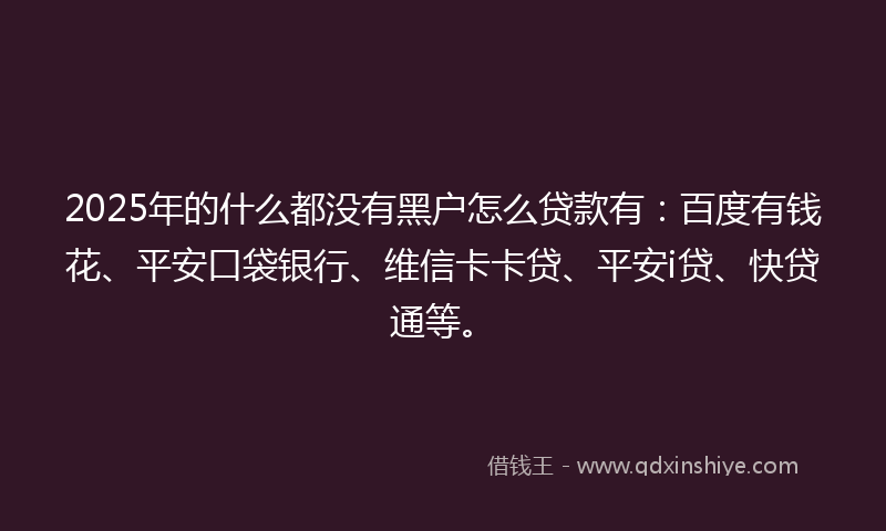 2025年的什么都没有黑户怎么贷款有：百度有钱花、平安口袋银行、维信卡卡贷、平安i贷、快贷通等。