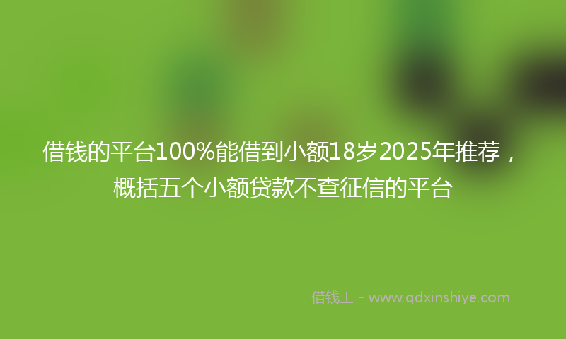借钱的平台100%能借到小额18岁2025年推荐，概括五个小额贷款不查征信的平台