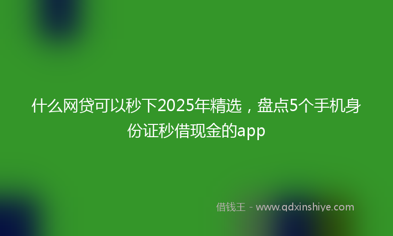 什么网贷可以秒下2025年精选，盘点5个手机身份证秒借现金的app