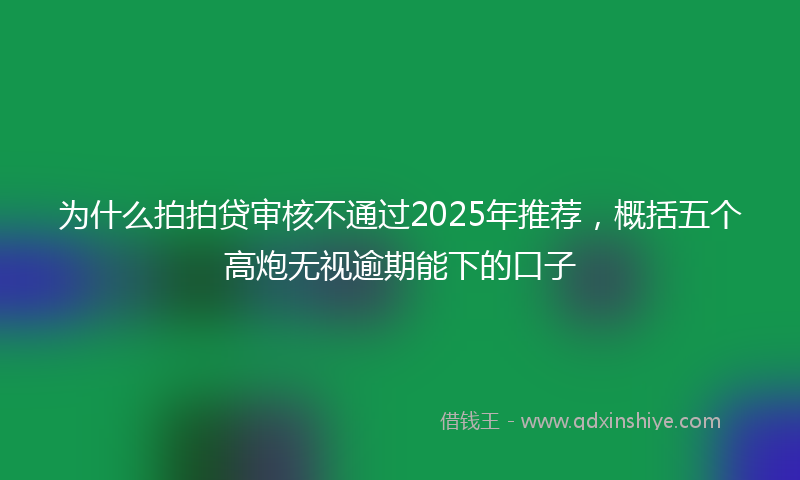 为什么拍拍贷审核不通过2025年推荐，概括五个高炮无视逾期能下的口子