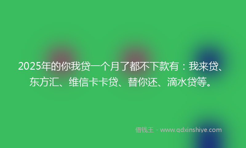 2025年的你我贷一个月了都不下款有：我来贷、东方汇、维信卡卡贷、替你还、滴水贷等。