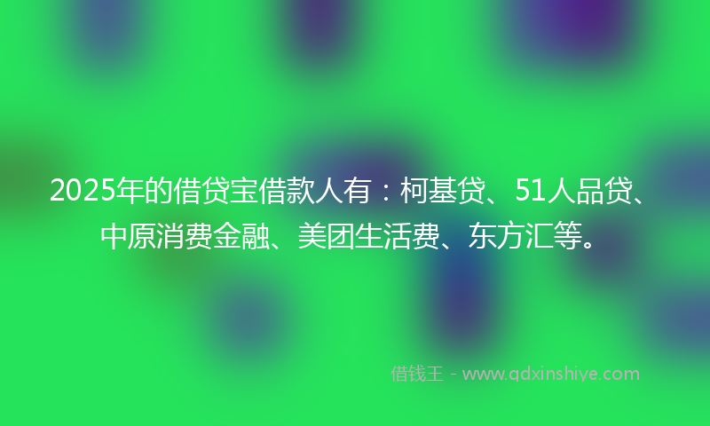 2025年的借贷宝借款人有：柯基贷、51人品贷、中原消费金融、美团生活费、东方汇等。