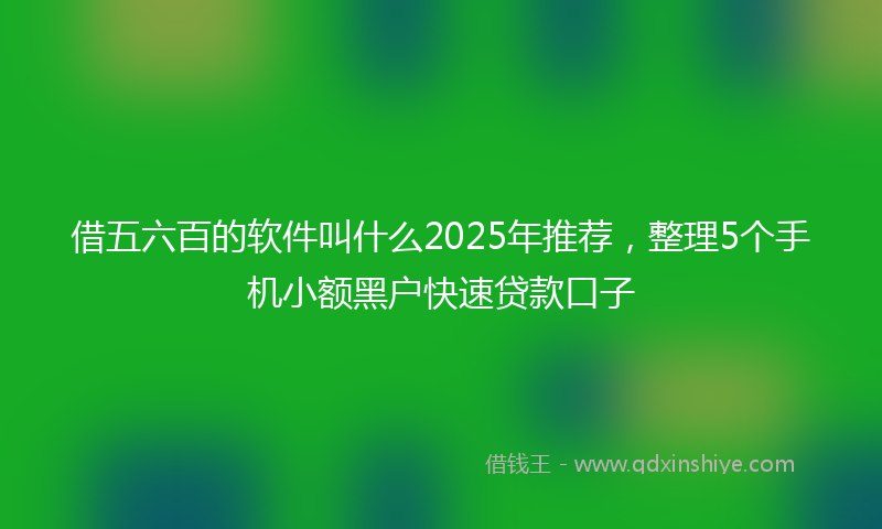 借五六百的软件叫什么2025年推荐，整理5个手机小额黑户快速贷款口子