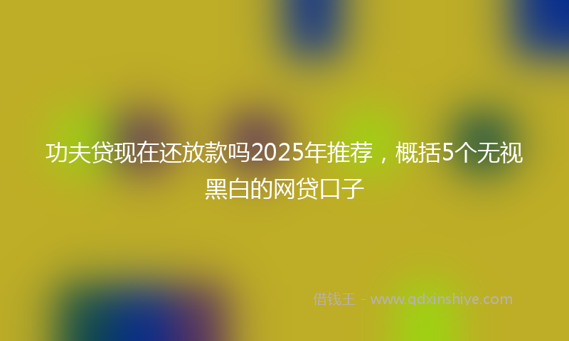 功夫贷现在还放款吗2025年推荐，概括5个无视黑白的网贷口子