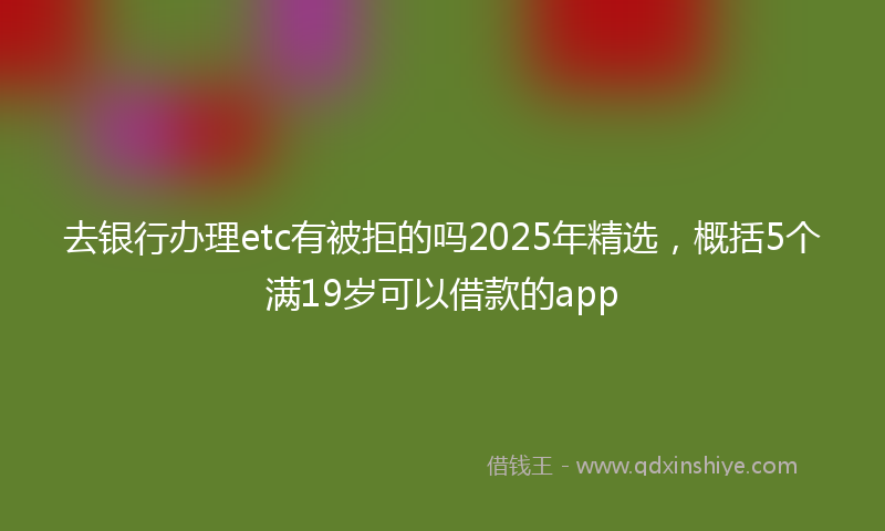 去银行办理etc有被拒的吗2025年精选，概括5个满19岁可以借款的app