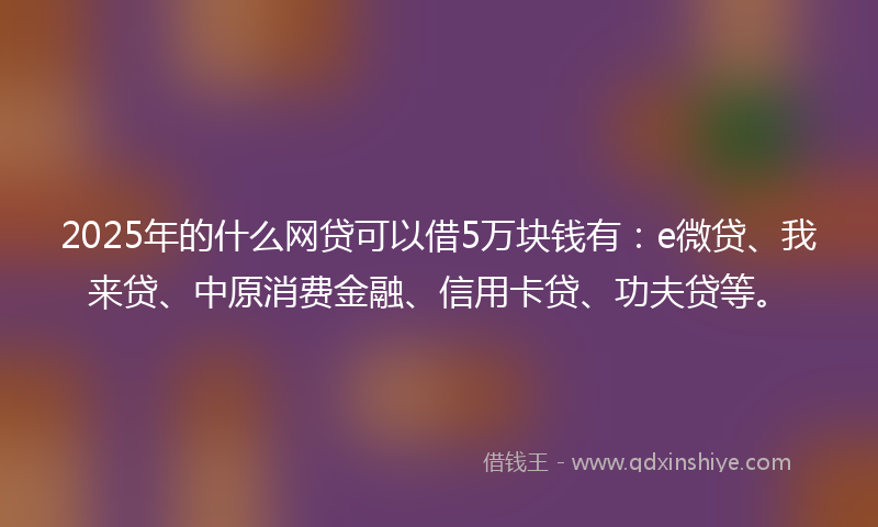 2025年的什么网贷可以借5万块钱有：e微贷、我来贷、中原消费金融、信用卡贷、功夫贷等。