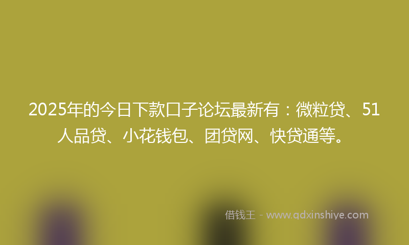 2025年的今日下款口子论坛最新有：微粒贷、51人品贷、小花钱包、团贷网、快贷通等。