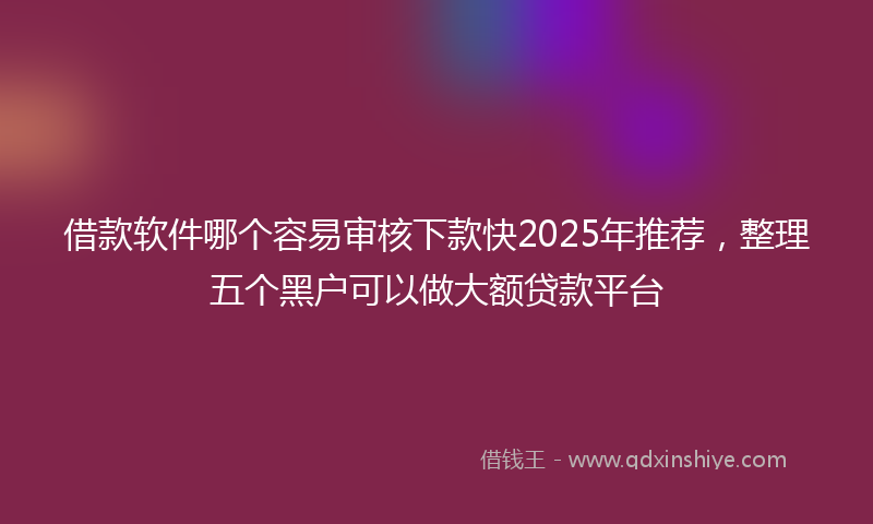 借款软件哪个容易审核下款快2025年推荐，整理五个黑户可以做大额贷款平台