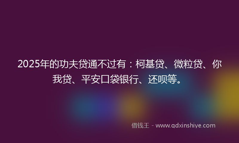 2025年的功夫贷通不过有：柯基贷、微粒贷、你我贷、平安口袋银行、还呗等。