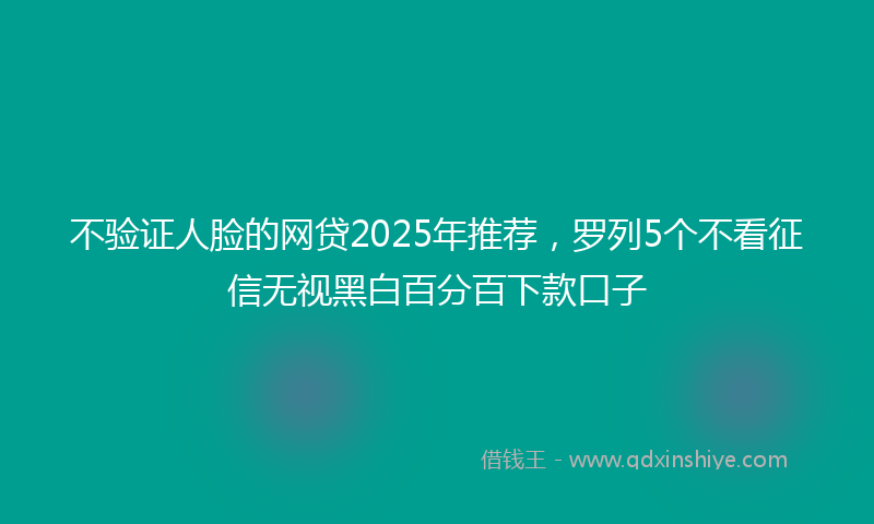 不验证人脸的网贷2025年推荐，罗列5个不看征信无视黑白百分百下款口子