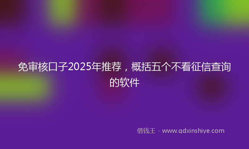 免审核口子2025年推荐，概括五个不看征信查询的软件