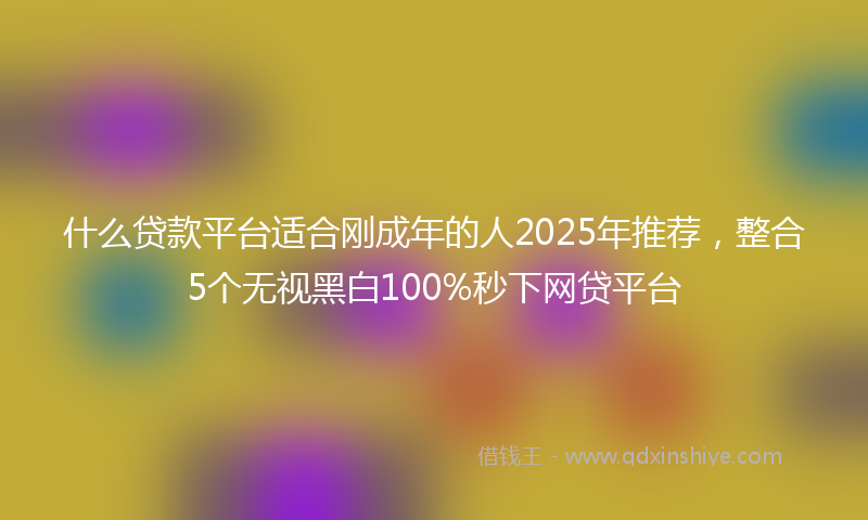 什么贷款平台适合刚成年的人2025年推荐，整合5个无视黑白100%秒下网贷平台