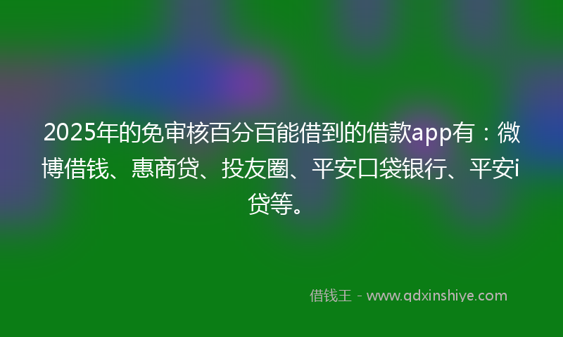 2025年的免审核百分百能借到的借款app有：微博借钱、惠商贷、投友圈、平安口袋银行、平安i贷等。