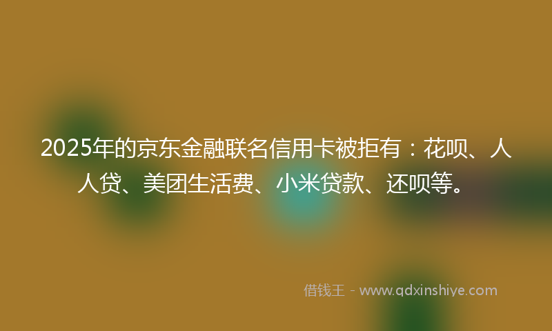 2025年的京东金融联名信用卡被拒有：花呗、人人贷、美团生活费、小米贷款、还呗等。