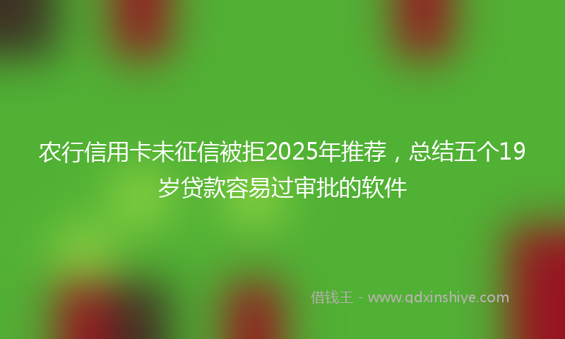 农行信用卡未征信被拒2025年推荐，总结五个19岁贷款容易过审批的软件