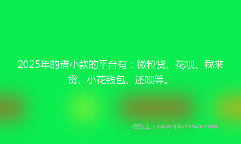 2025年的借小款的平台有：微粒贷、花呗、我来贷、小花钱包、还呗等。
