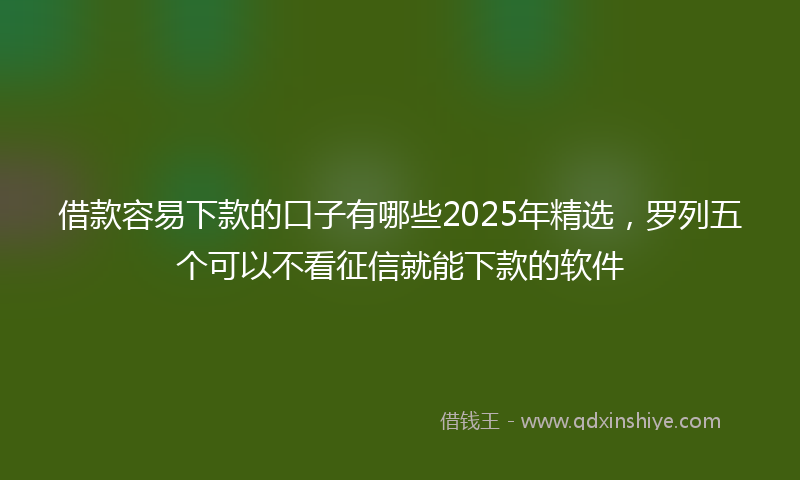 借款容易下款的口子有哪些2025年精选，罗列五个可以不看征信就能下款的软件