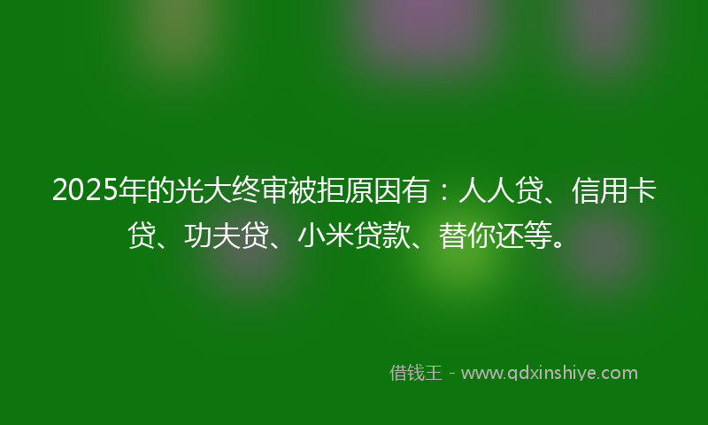 2025年的光大终审被拒原因有：人人贷、信用卡贷、功夫贷、小米贷款、替你还等。
