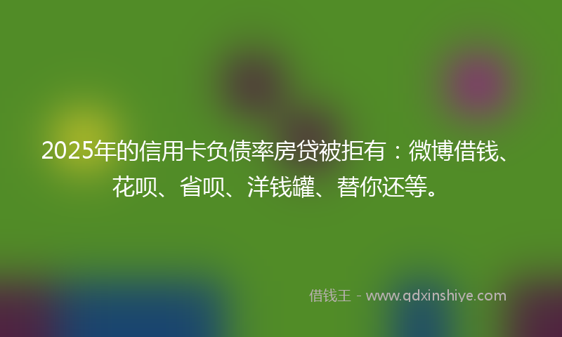 2025年的信用卡负债率房贷被拒有：微博借钱、花呗、省呗、洋钱罐、替你还等。