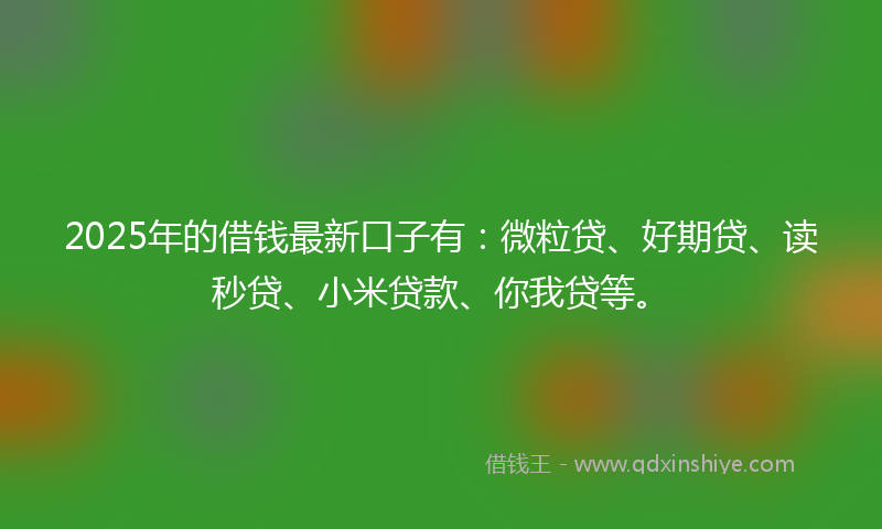 2025年的借钱最新口子有：微粒贷、好期贷、读秒贷、小米贷款、你我贷等。