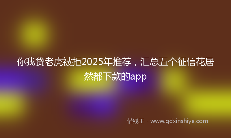 你我贷老虎被拒2025年推荐，汇总五个征信花居然都下款的app