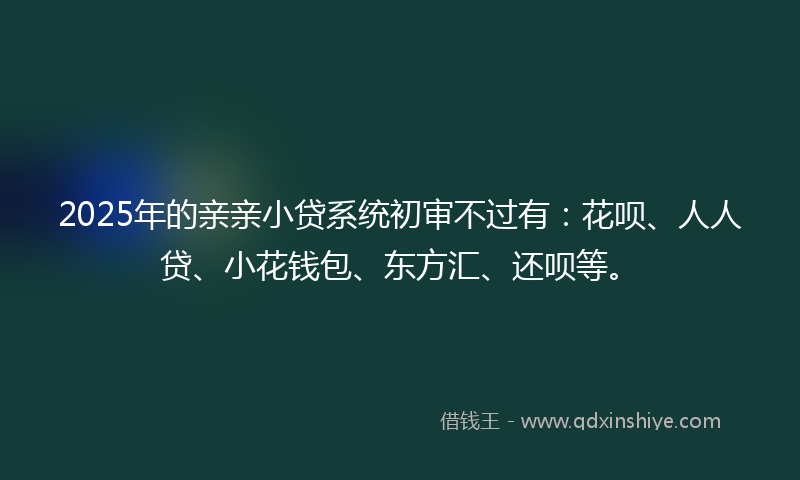 2025年的亲亲小贷系统初审不过有:花呗、人人贷、小花钱包、东方汇、还呗等。