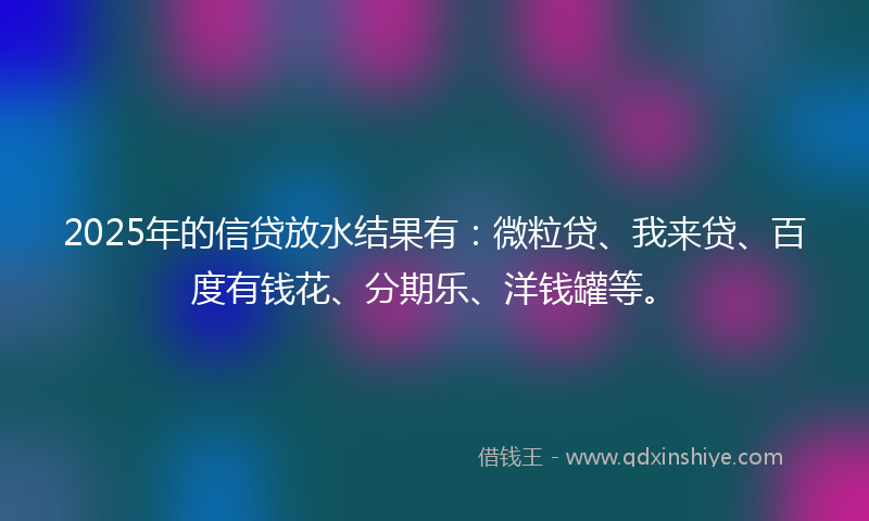2025年的信贷放水结果有：微粒贷、我来贷、百度有钱花、分期乐、洋钱罐等。