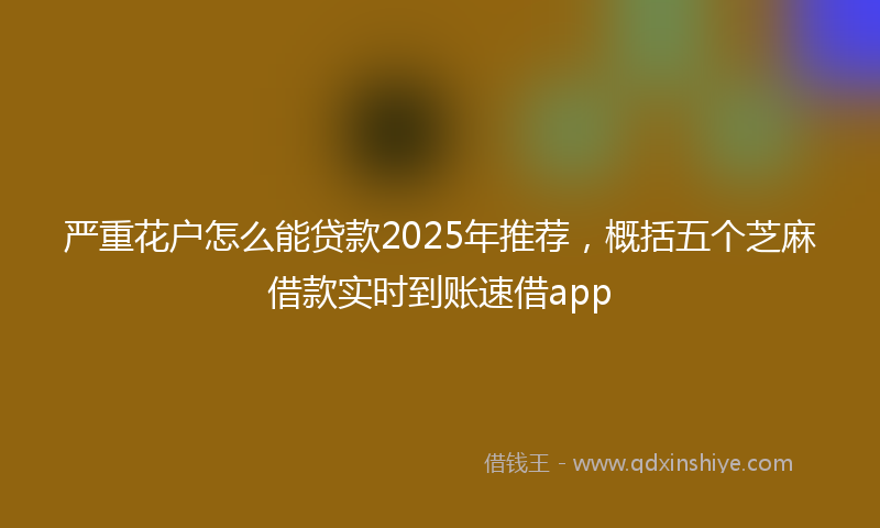 严重花户怎么能贷款2025年推荐,概括五个芝麻借款实时到账速借app