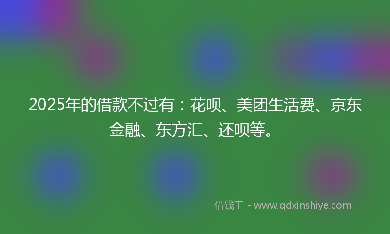 2025年的借款不过有：花呗、美团生活费、京东金融、东方汇、还呗等。