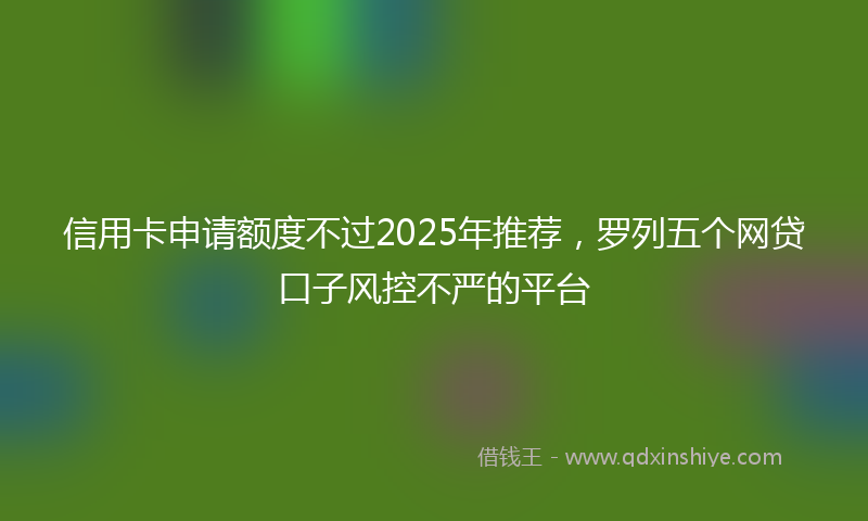 信用卡申请额度不过2025年推荐，罗列五个网贷口子风控不严的平台