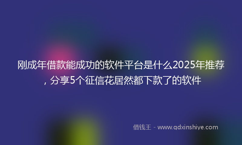 刚成年借款能成功的软件平台是什么2025年推荐，分享5个征信花居然都下款了的软件