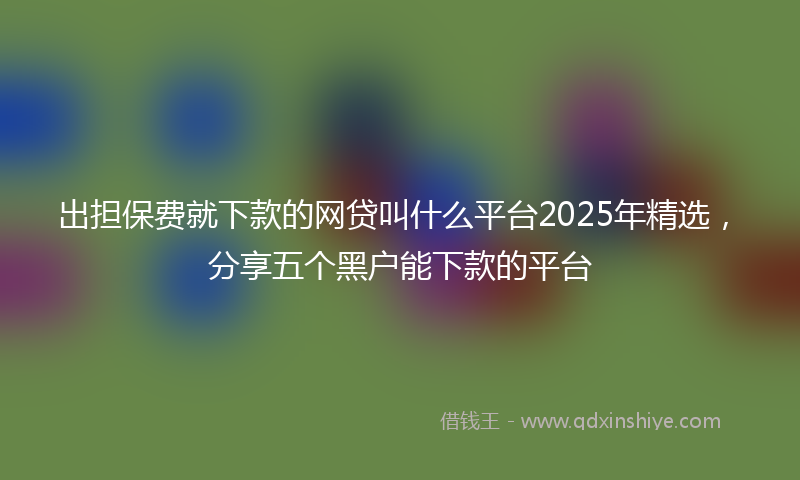 出担保费就下款的网贷叫什么平台2025年精选，分享五个黑户能下款的平台