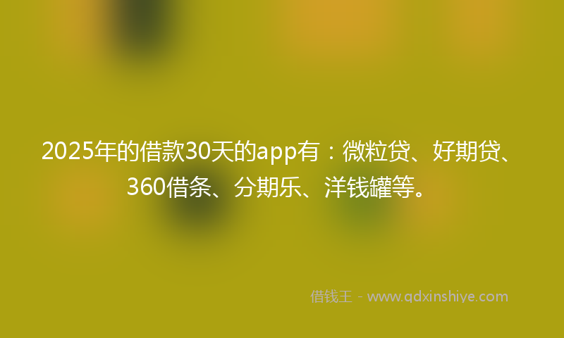 2025年的借款30天的app有：微粒贷、好期贷、360借条、分期乐、洋钱罐等。