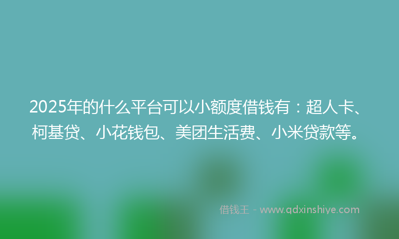 2025年的什么平台可以小额度借钱有：超人卡、柯基贷、小花钱包、美团生活费、小米贷款等。