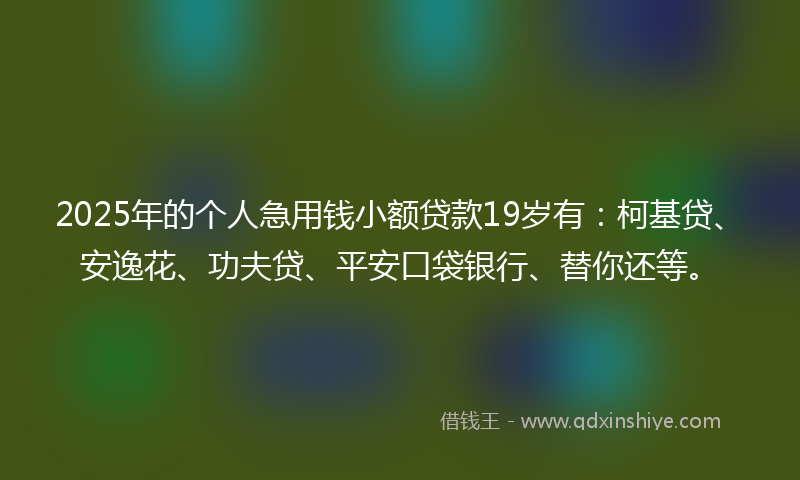 2025年的个人急用钱小额贷款19岁有：柯基贷、安逸花、功夫贷、平安口袋银行、替你还等。