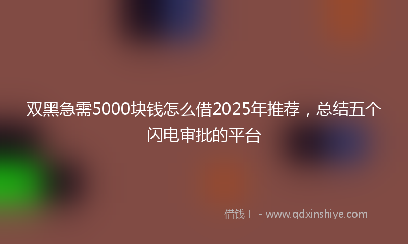 双黑急需5000块钱怎么借2025年推荐，总结五个闪电审批的平台
