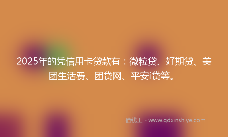 2025年的凭信用卡贷款有：微粒贷、好期贷、美团生活费、团贷网、平安i贷等。