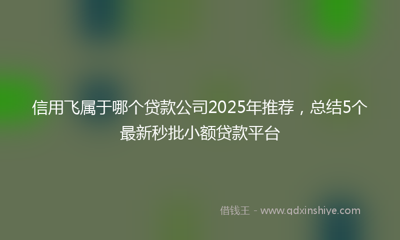 信用飞属于哪个贷款公司2025年推荐，总结5个最新秒批小额贷款平台