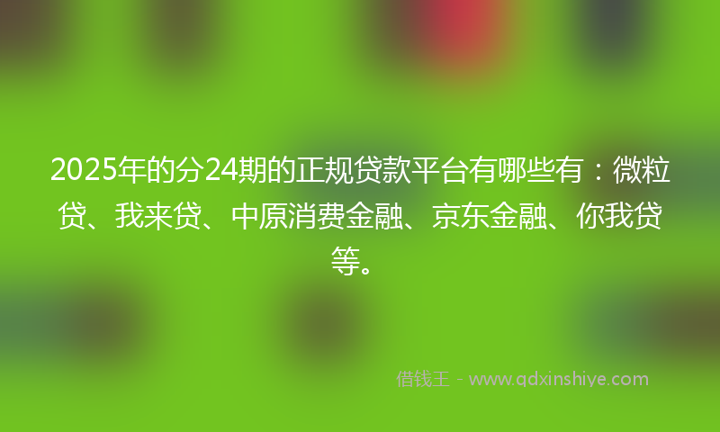 2025年的分24期的正规贷款平台有哪些有：微粒贷、我来贷、中原消费金融、京东金融、你我贷等。
