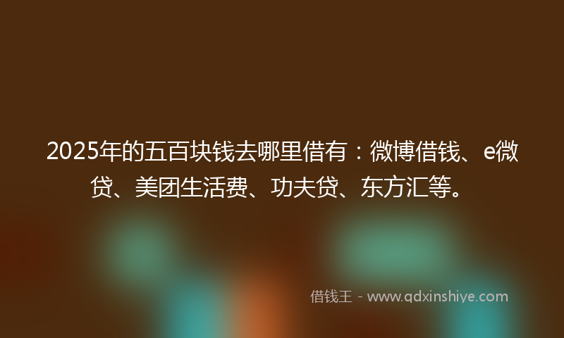 2025年的五百块钱去哪里借有：微博借钱、e微贷、美团生活费、功夫贷、东方汇等。
