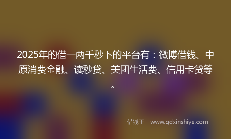 2025年的借一两千秒下的平台有：微博借钱、中原消费金融、读秒贷、美团生活费、信用卡贷等。