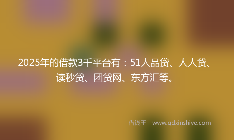 2025年的借款3千平台有：51人品贷、人人贷、读秒贷、团贷网、东方汇等。