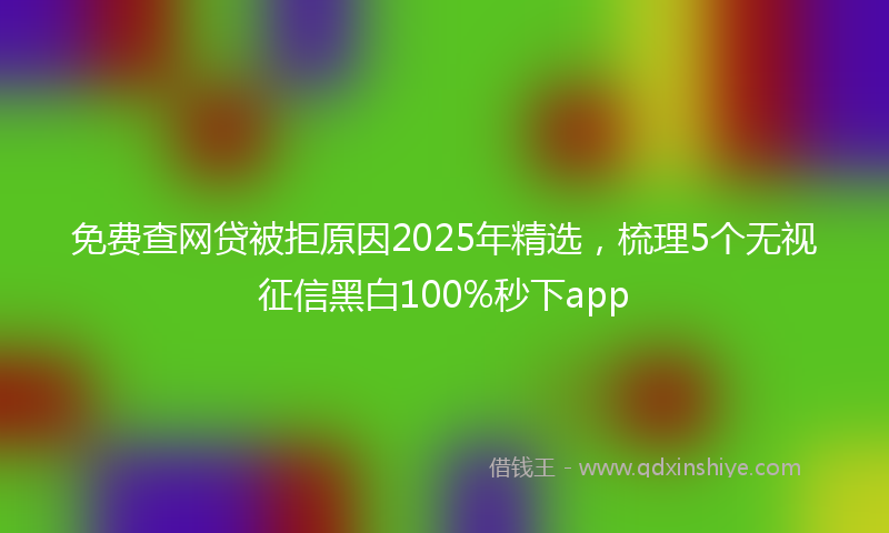 免费查网贷被拒原因2025年精选，梳理5个无视征信黑白100%秒下app