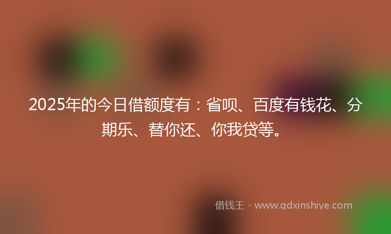 2025年的今日借额度有：省呗、百度有钱花、分期乐、替你还、你我贷等。
