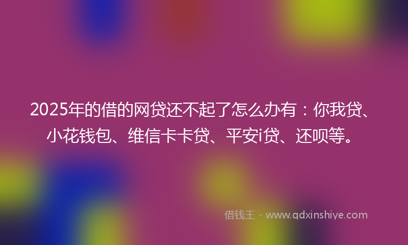 2025年的借的网贷还不起了怎么办有：你我贷、小花钱包、维信卡卡贷、平安i贷、还呗等。