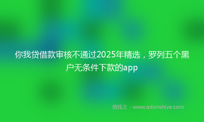 你我贷借款审核不通过2025年精选，罗列五个黑户无条件下款的app